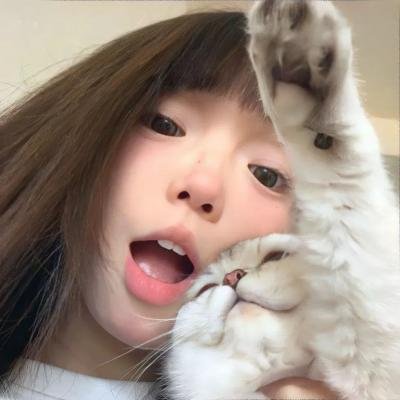 老虎连